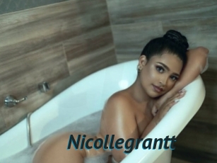 nicollegrantt Sexe Tube FR