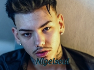 Nigelsoul