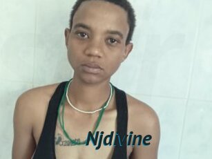 Njdivine