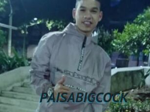 PAISABIGCOCK