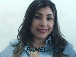 PAMELA_zv