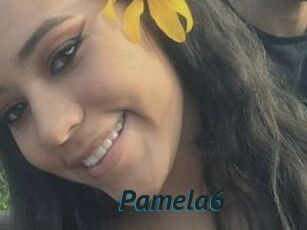 Pamela6
