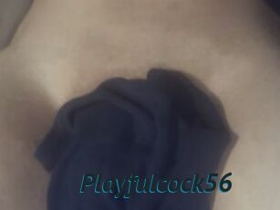 Playfulcock56