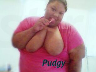 Pudgy