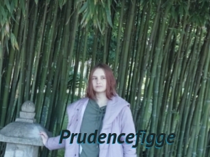 Prudencefigge