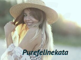 Purefelinekata