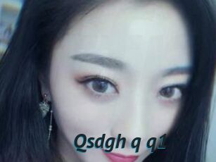 Qsdgh_q_q1