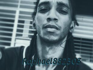 Raphael882303