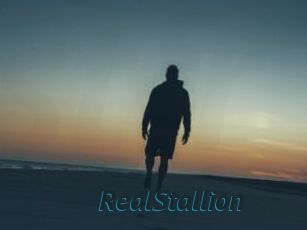 RealStallion