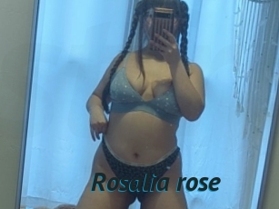 Rosalia_rose