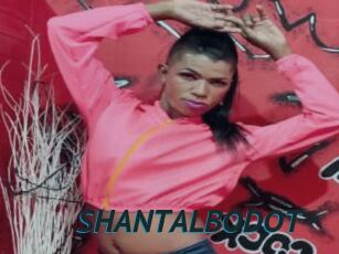 SHANTALBODOT