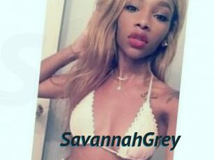 Savannah_Grey
