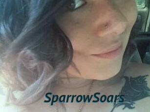 SparrowSoars