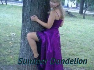 Summer_Dandelion
