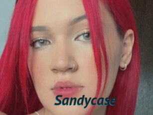 Sandycase
