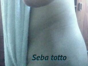 Seba_totto