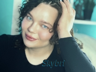 Skybri