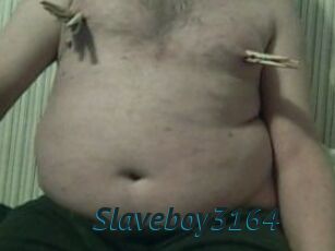 Slaveboy3164