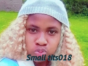 Small_tits018