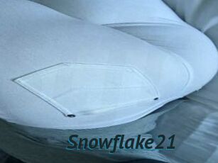 Snowflake21