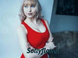 Sollyflower