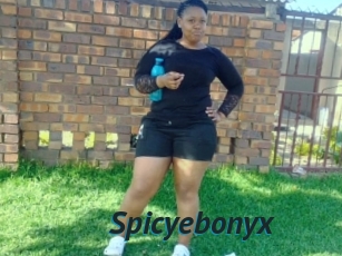 Spicyebonyx
