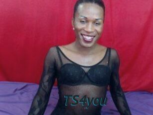 TS4you