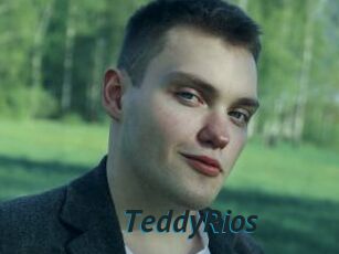 TeddyRios