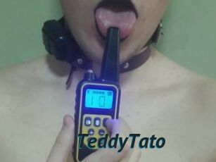 TeddyTato