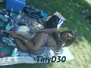 TinyD30