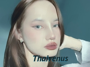 Thaivenus