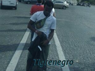 Tigrenegro