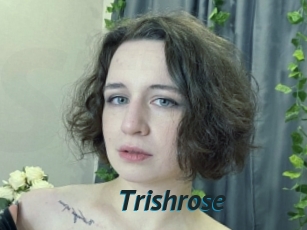Trishrose