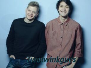 Twotwinkguys