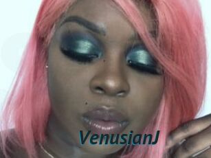 VenusianJ