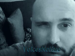 VoicesNoHue