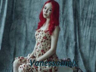 Vanessaamix