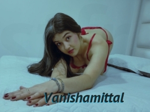Vanishamittal