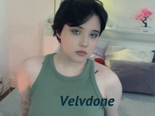 Velvdone