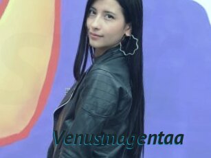 Venusmagentaa