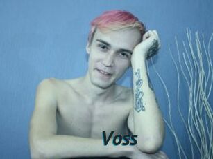 Voss