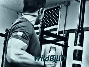 WildBillD