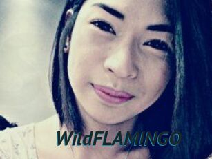 WildFLAMINGO