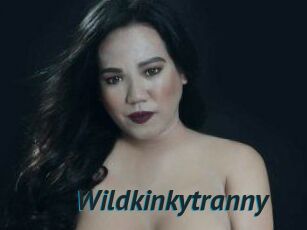 Wildkinkytranny