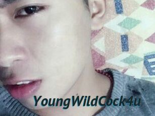 YoungWildCock4u