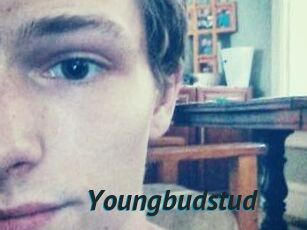 Youngbudstud