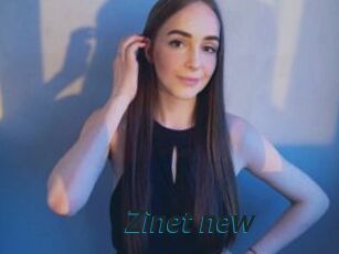 Zinet_new