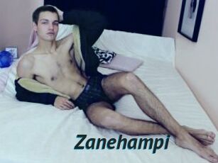 Zanehampi